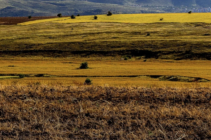 Kayseri