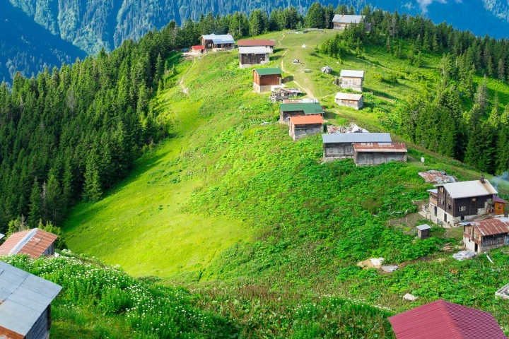 Rize